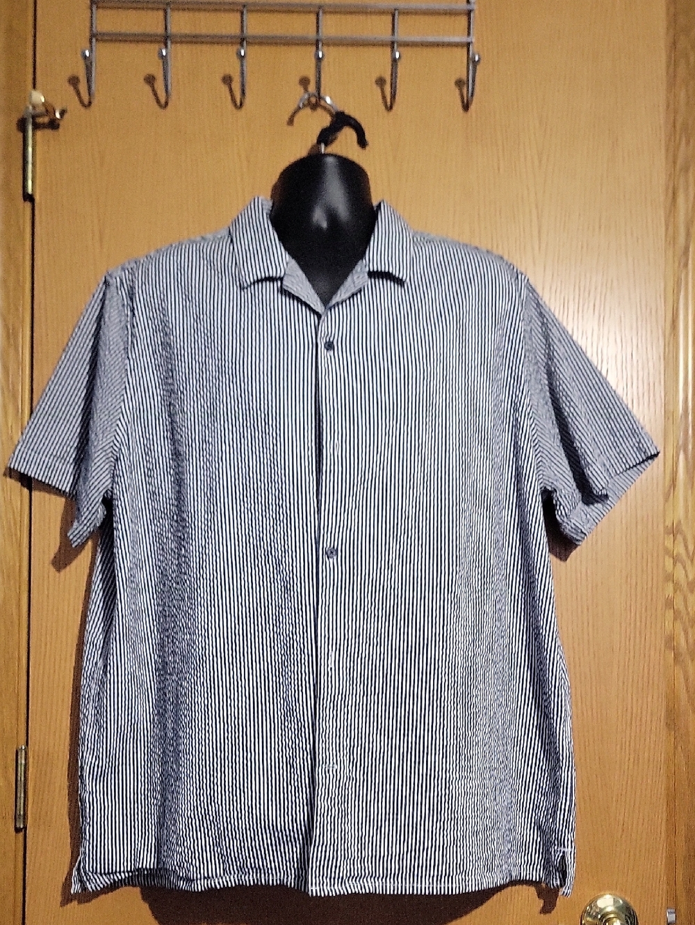 Express Men’s Short-Sleeve Striped Button-Down Shirt - Blue & White